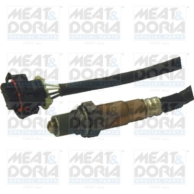 Oxygen Sensor